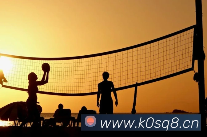 App Interface Preview