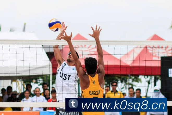 emc易倍全站网页版APP 封面图